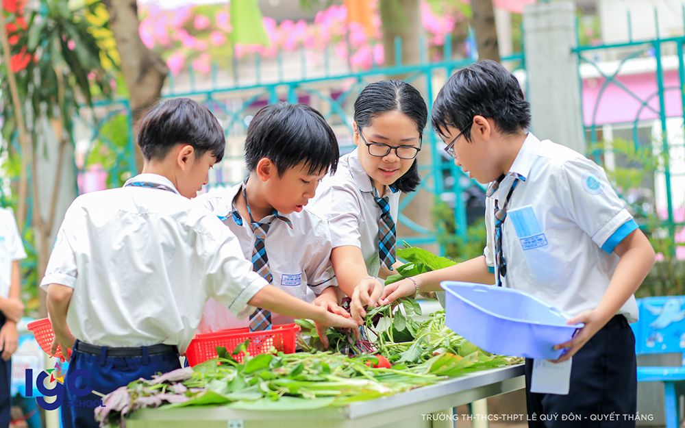 Giới thiệu IGC Group