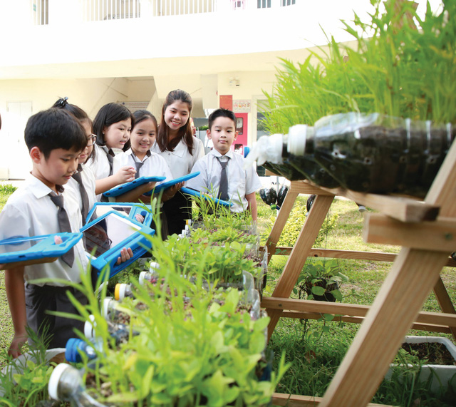 Những điểm nổi bật khẳng định giá trị của Tập đoàn Giáo dục IGC