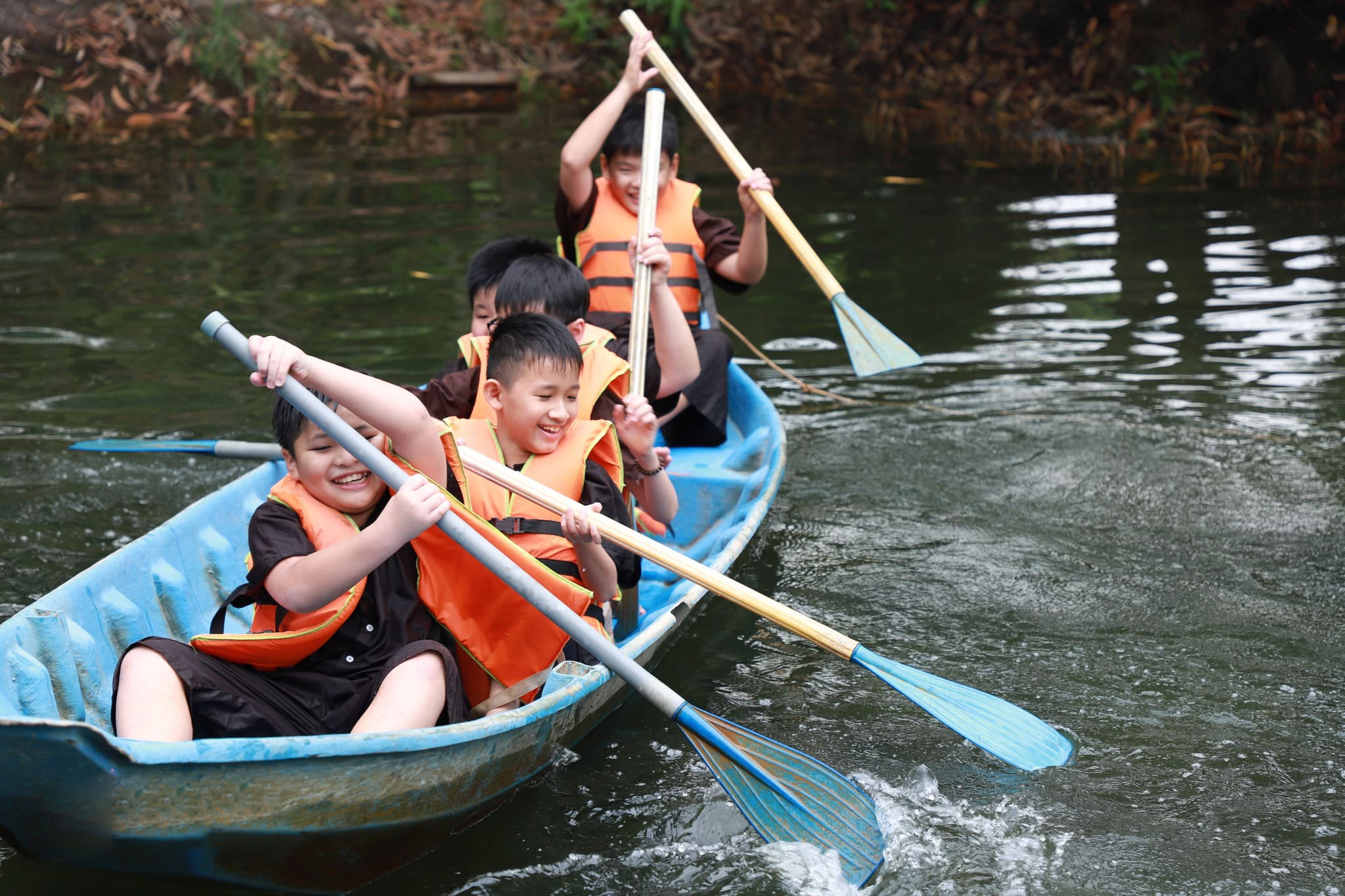 Chương trình mở rộng